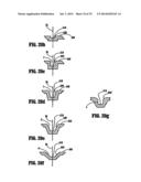 DIRECTIONALLY BIASED STAPLE AND ANVIL ASSEMBLY diagram and image