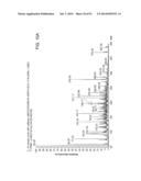 ION GENERATION USING MODIFIED WETTED POROUS MATERIALS diagram and image