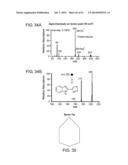 ION GENERATION USING MODIFIED WETTED POROUS MATERIALS diagram and image