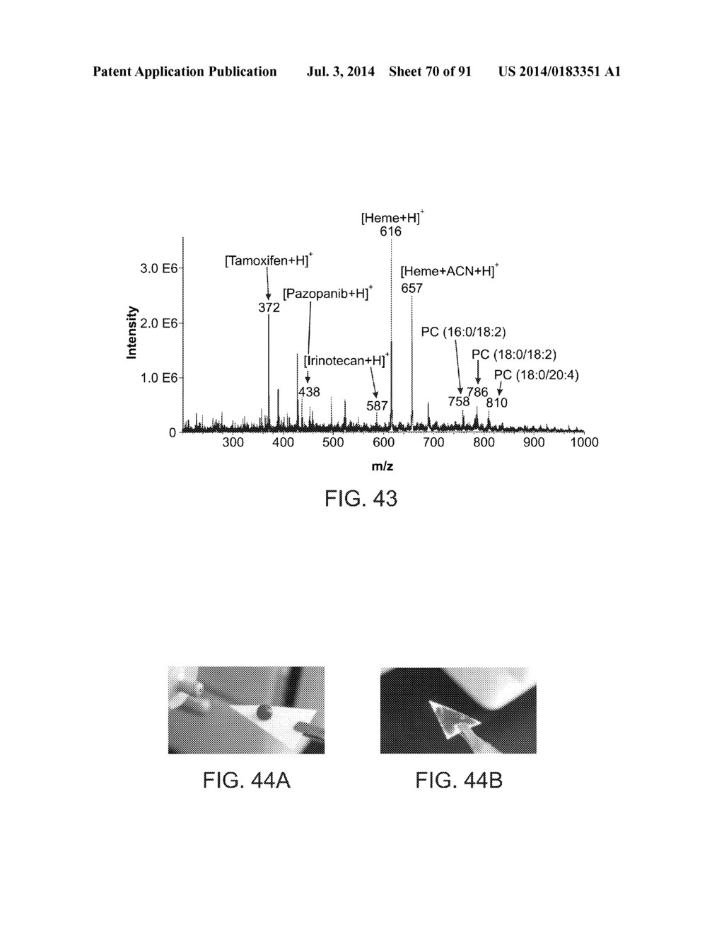 ION GENERATION USING MODIFIED WETTED POROUS MATERIALS - diagram, schematic, and image 71