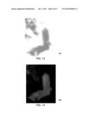 STEREOSCOPIC VOLUME RENDERING IMAGING SYSTEM diagram and image