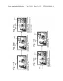 DISPLAY CONTROL DEVICE diagram and image