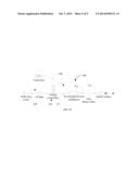 Multi-Wavelength Light Source Apparatus diagram and image