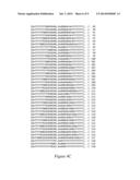 SIMULTANEOUS AND LOOPLESS VECTOR CALCULATION OF ALL RUN-LEVEL PAIRS IN     VIDEO COMPRESSION diagram and image