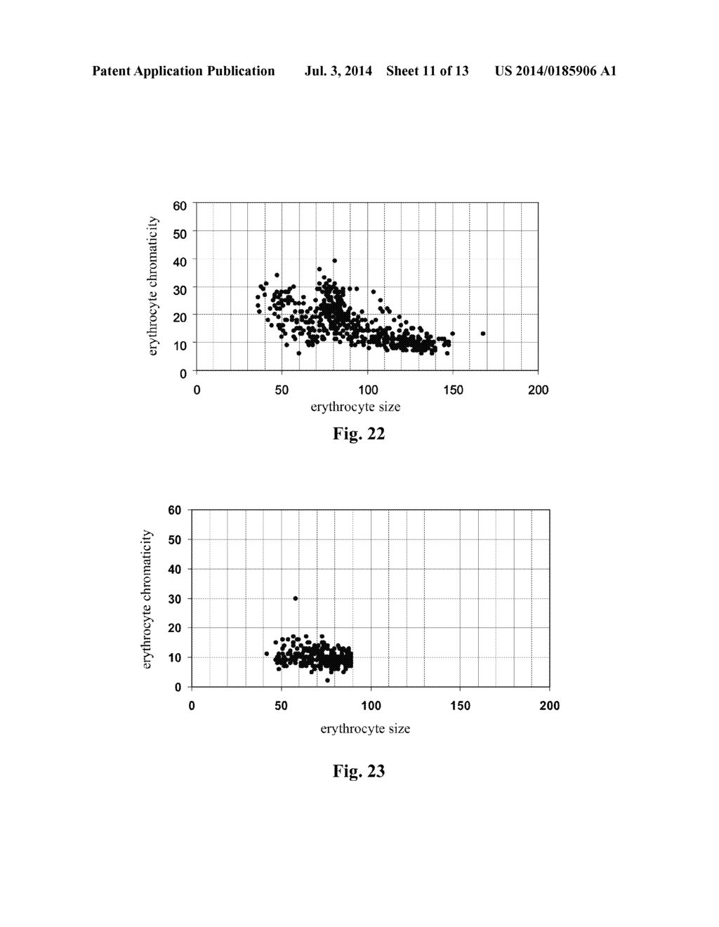 Device and Method for Erythrocyte Morphology Analysis - diagram, schematic, and image 12