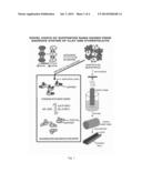 PROCESS FOR THE ADSORPTION OF TOXIC SULPHUR BEARING GASES diagram and image