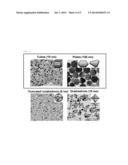 METAL NANOPARTICLE-PCP COMPLEX AND MANUFACTURING METHOD THEREFOR diagram and image