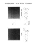 MALEIMIDE-FUNCTIONALIZED GOLD NANOPARTICLES diagram and image