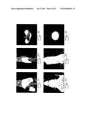 MALEIMIDE-FUNCTIONALIZED GOLD NANOPARTICLES diagram and image