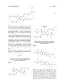 Modified Pyrazine Derivatives and Uses Thereof diagram and image