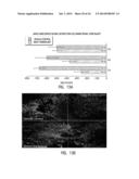 Use of Stem Cells to Prevent Neuronal Dieback diagram and image