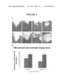 METHODS AND COMPOSITIONS FOR TREATMENT OF TRAUMATIC BRAIN INJURY AND FOR     MODULATION OF MIGRATION OF NEUROGENIC CELLS diagram and image