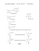 POLYPHENOL ANALOGS TO TREAT ISCHEMIA diagram and image