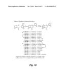 POLYPHENOL ANALOGS TO TREAT ISCHEMIA diagram and image