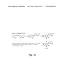 POLYPHENOL ANALOGS TO TREAT ISCHEMIA diagram and image