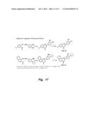 POLYPHENOL ANALOGS TO TREAT ISCHEMIA diagram and image