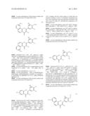 POLYPHENOL ANALOGS TO TREAT ISCHEMIA diagram and image