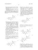 POLYPHENOL ANALOGS TO TREAT ISCHEMIA diagram and image