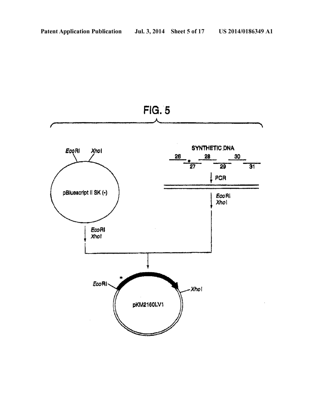 HUMAN CDR-GRAFTED ANTIBODY AND ANTIBODY FRAGMENT THEREOF - diagram, schematic, and image 06