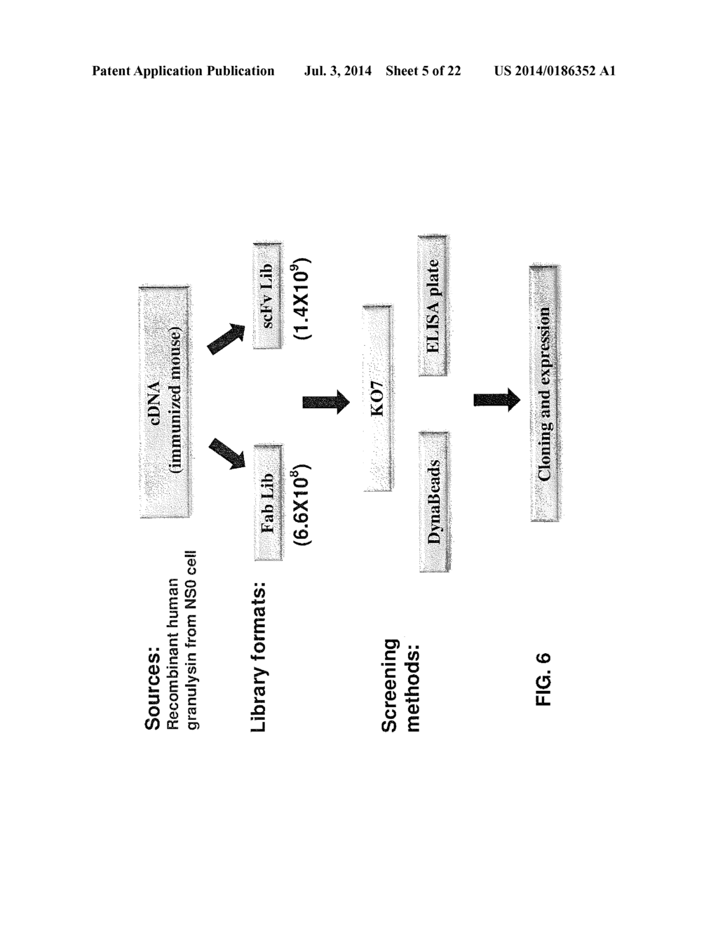 ANTI-GRANULYSIN ANTIBODIES AND METHODS OF USE THEREOF - diagram, schematic, and image 06