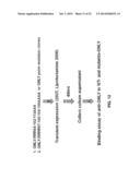 ANTI-GRANULYSIN ANTIBODIES AND METHODS OF USE THEREOF diagram and image