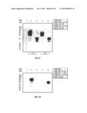 VACCINIA VIRUS H3L AND B5R SPECIFIC MONOCLONAL ANTIBODIES AND METHODS OF     MAKING AND USING SAME diagram and image