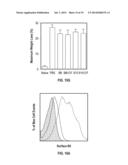 VACCINIA VIRUS H3L AND B5R SPECIFIC MONOCLONAL ANTIBODIES AND METHODS OF     MAKING AND USING SAME diagram and image