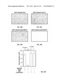 VACCINIA VIRUS H3L AND B5R SPECIFIC MONOCLONAL ANTIBODIES AND METHODS OF     MAKING AND USING SAME diagram and image