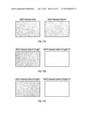 VACCINIA VIRUS H3L AND B5R SPECIFIC MONOCLONAL ANTIBODIES AND METHODS OF     MAKING AND USING SAME diagram and image