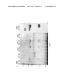 COMPOSITIONS AND METHODS FOR TREATING DISEASES OF PROTEIN AGGREGATION     INVOLVING IC3B DEPOSITION diagram and image