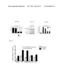 COMPOSITIONS TARGETING PKC-THETA AND USES AND METHODS OF TREATING     PKC-THETA PATHOLOGIES, ADVERSE IMMUNE RESPONSES AND DISEASES diagram and image