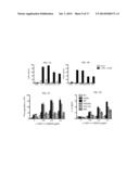 COMPOSITIONS TARGETING PKC-THETA AND USES AND METHODS OF TREATING     PKC-THETA PATHOLOGIES, ADVERSE IMMUNE RESPONSES AND DISEASES diagram and image