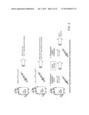 MANIPULATION OF REGULATORY T CELL AND DC FUNCTION BY TARGETING NEURITIN     GENE USING ANTIBODIES, AGONISTS AND ANTAGONISTS diagram and image