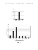 MANIPULATION OF REGULATORY T CELL AND DC FUNCTION BY TARGETING NEURITIN     GENE USING ANTIBODIES, AGONISTS AND ANTAGONISTS diagram and image