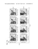 MANIPULATION OF REGULATORY T CELL AND DC FUNCTION BY TARGETING NEURITIN     GENE USING ANTIBODIES, AGONISTS AND ANTAGONISTS diagram and image