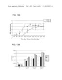 MANIPULATION OF REGULATORY T CELL AND DC FUNCTION BY TARGETING NEURITIN     GENE USING ANTIBODIES, AGONISTS AND ANTAGONISTS diagram and image