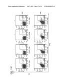 MANIPULATION OF REGULATORY T CELL AND DC FUNCTION BY TARGETING NEURITIN     GENE USING ANTIBODIES, AGONISTS AND ANTAGONISTS diagram and image