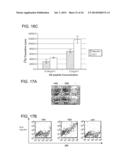 MANIPULATION OF REGULATORY T CELL AND DC FUNCTION BY TARGETING NEURITIN     GENE USING ANTIBODIES, AGONISTS AND ANTAGONISTS diagram and image