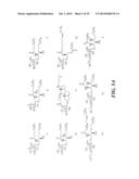 GLYCOLIPIDS AND ANALOGUES THEREOF AS ANTIGENS FOR NKT CELLS diagram and image