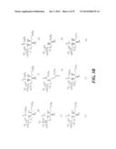 GLYCOLIPIDS AND ANALOGUES THEREOF AS ANTIGENS FOR NKT CELLS diagram and image