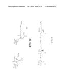 GLYCOLIPIDS AND ANALOGUES THEREOF AS ANTIGENS FOR NKT CELLS diagram and image