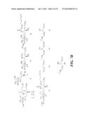 GLYCOLIPIDS AND ANALOGUES THEREOF AS ANTIGENS FOR NKT CELLS diagram and image