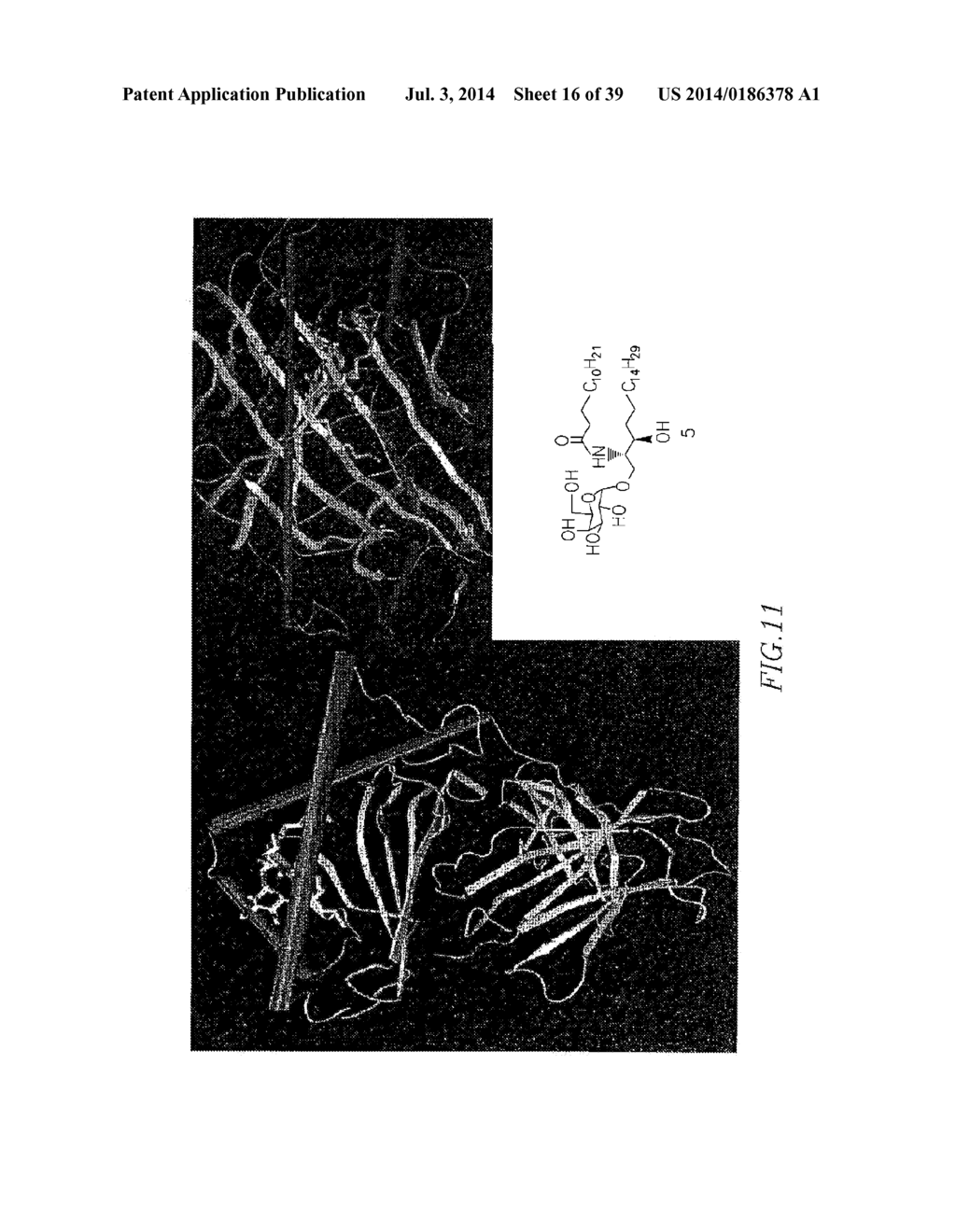 GLYCOLIPIDS AND ANALOGUES THEREOF AS ANTIGENS FOR NKT CELLS - diagram, schematic, and image 17