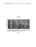 GLYCOLIPIDS AND ANALOGUES THEREOF AS ANTIGENS FOR NKT CELLS diagram and image