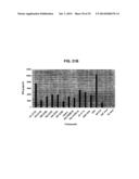 GLYCOLIPIDS AND ANALOGUES THEREOF AS ANTIGENS FOR NKT CELLS diagram and image