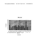 GLYCOLIPIDS AND ANALOGUES THEREOF AS ANTIGENS FOR NKT CELLS diagram and image