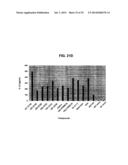 GLYCOLIPIDS AND ANALOGUES THEREOF AS ANTIGENS FOR NKT CELLS diagram and image