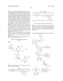 GLYCOLIPIDS AND ANALOGUES THEREOF AS ANTIGENS FOR NKT CELLS diagram and image