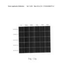 NOVEL MACROMOLECULE TRANSDUCTION DOMAINS AND METHODS FOR IDENTIFICATION     AND USES THEREOF diagram and image