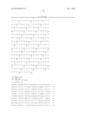 NOVEL MACROMOLECULE TRANSDUCTION DOMAINS AND METHODS FOR IDENTIFICATION     AND USES THEREOF diagram and image